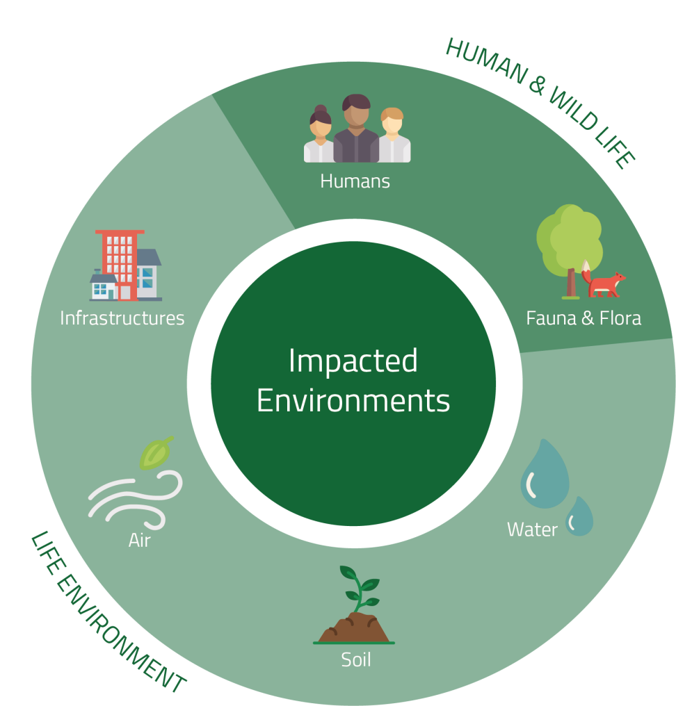Environment
